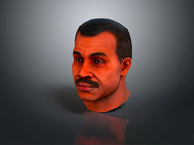 Realistic 3D Hair Model For Daily Fashion And Beauty Accessory Use 3d model