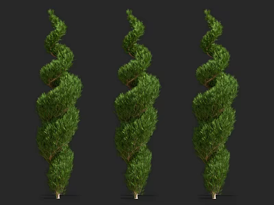 Three Spiral Shaped Green Trees With Lush Foliage And Vertical Growth 3d model