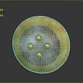 Ancient Golden Circular Shield With Four Decorative Dots And Historical Weapon Design