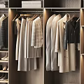 Modern Walk in Closet Design With Hanging Clothes Shelves And Shoe Storage