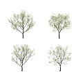 Rough Leaf Tree Landscape Tree 3d model