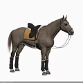 Light Brown Horse With Yellow Saddle Pad Black Saddle And Gray Leg Wraps