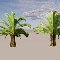 Two Palm Trees with Sturdy Trunks and Lush Fronds Against Light Blue Background