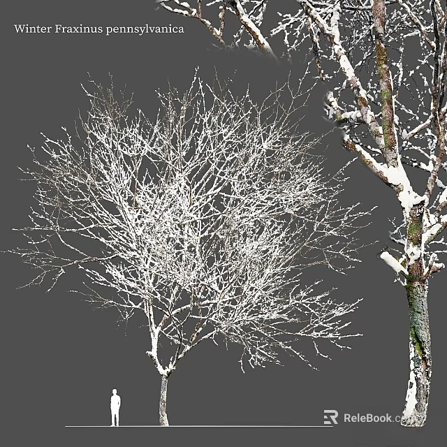 Snow Covered Arbor Trees With Frosted Branches In Winter Landscape 3d model 