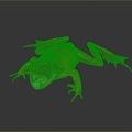 Frog Frog Frog Poison Frog Game Frog Reptile Cold Blooded Animal Reptile Reptile 3d model