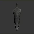 Detailed 3D Raccoon Model With Realistic Fur Texture And Standing Pose On Gray Background