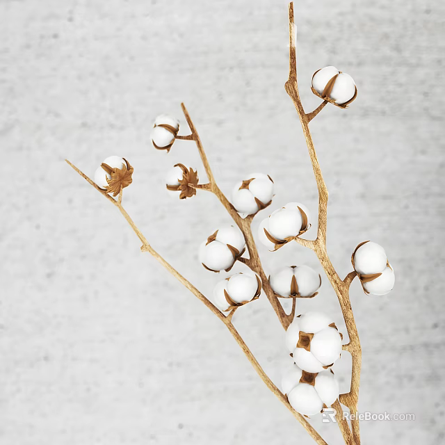 Natural Cotton Branches With White Bolls On Light Gray Textured Background 3d model 