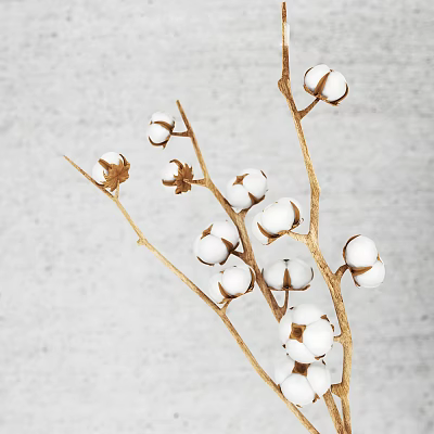 Natural Cotton Branches With White Bolls On Light Gray Textured Background 3d model