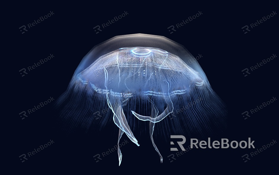 Jellyfish Moon Jellyfish Ornamental Animals model