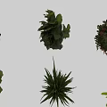 Garden Landscape Design with Various Green Plants and Foliage Types