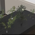 Elegant Vases With Fresh Green Leaves And White Flowers On Dark Wooden Table
