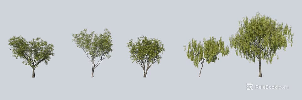 Three Arbor Trees With Distinct Canopy Shapes And Lush Green Foliage 3d model 