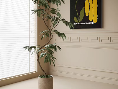 Bonsai Plant In Light Colored Pot Near Window Blinds With White Wall Decorative Painting 3d model
