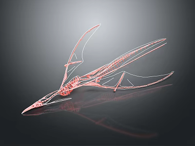 Pink Pterosaur 3D Wireframe Model With Elongated Wings And Dark Background 3d model