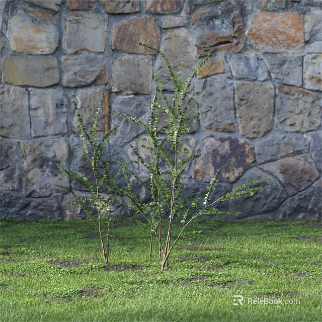 Green Leafy Shrubs Growing Against a Stone Wall Background on Lush Grass Lawn 3d model 