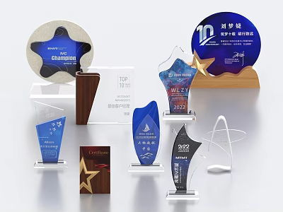 Diverse Trophies and Medals With Transparent Acrylic Wooden Bases Star Wave Shapes 3d model