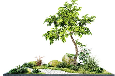 Garden landscape plant modeling tree courtyard tree stone sketch 3d model