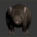 Mouse Wizard Mouse Warlock Cartoon Mouse Animation Mouse Animation Mouse Cartoon Character Cartoon Animal 3d model