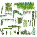 Various Climbing Hanging Vines With Green Leaves And Colorful Flowers For Garden Decor