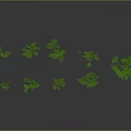Green Plants of Various Sizes and Shapes Against Gray Gradient Background