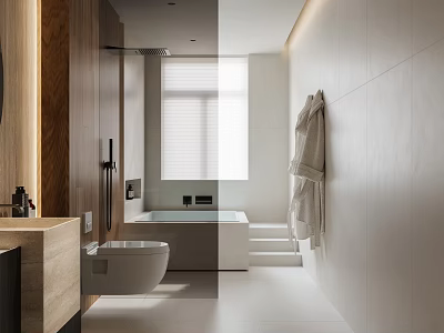 Modern Bathroom Interior Design With Bathtub Toilet Vanity And Hanging Robe 3d model
