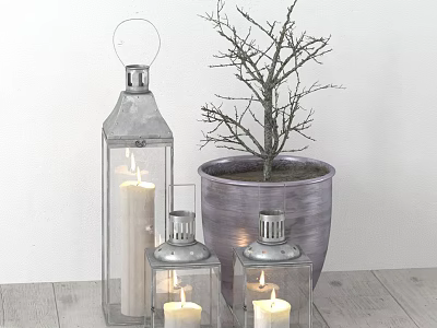Metal Lanterns with Burning Candles and Potted Tree on Wooden Floor 3d model