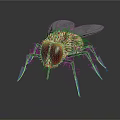 Fly with red compound eyes black body and transparent wings on reflective surface