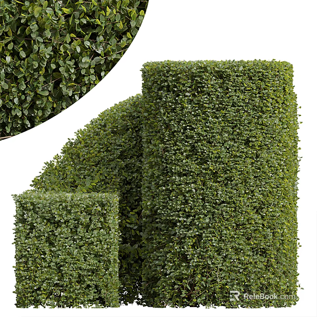Lush Green Trimmed Bushes With Square And Cylindrical Shapes In Garden 3d model 