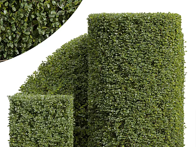 Lush Green Trimmed Bushes With Square And Cylindrical Shapes In Garden 3d model