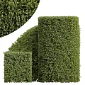 Lush Green Trimmed Bushes With Square And Cylindrical Shapes In Garden