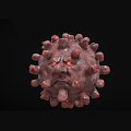 Modern virus New coronavirus 3d model