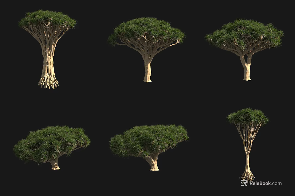 Arborescent Trees Displaying Six Unique Forms With Distinct Trunks And Lush Canopies 3d model 