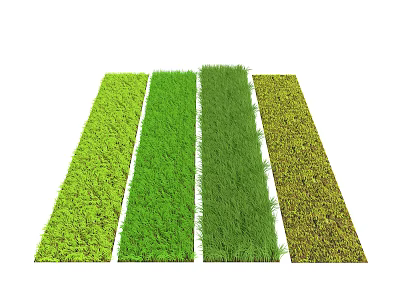 Various Shades of Green Grass Strips in Fresh Natural Colors for Garden Use 3d model