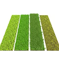 Various Shades of Green Grass Strips in Fresh Natural Colors for Garden Use