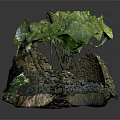 Ancient Stone Ruins Surrounded By Wooden Trees And Moss Covered Stones