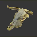 Cow Skull With Curved Horns Weathered White Surface On Gray Background