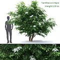 Ornamental Decoration Set with Life Size Tree Lush Green Leaves and White Flowers