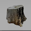 Natural Wooden Tree Stump Decor Piece With Rough Surface And Wood Grain Texture