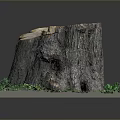 Natural Wooden Stump with Growth Rings and Green Foliage on Stone Base