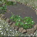 Serene Water Fountain With Circular Stone Border Water Lilies And Koi Fish In Grass Area