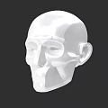 White Low Poly Head Model For Game And Film Character Design