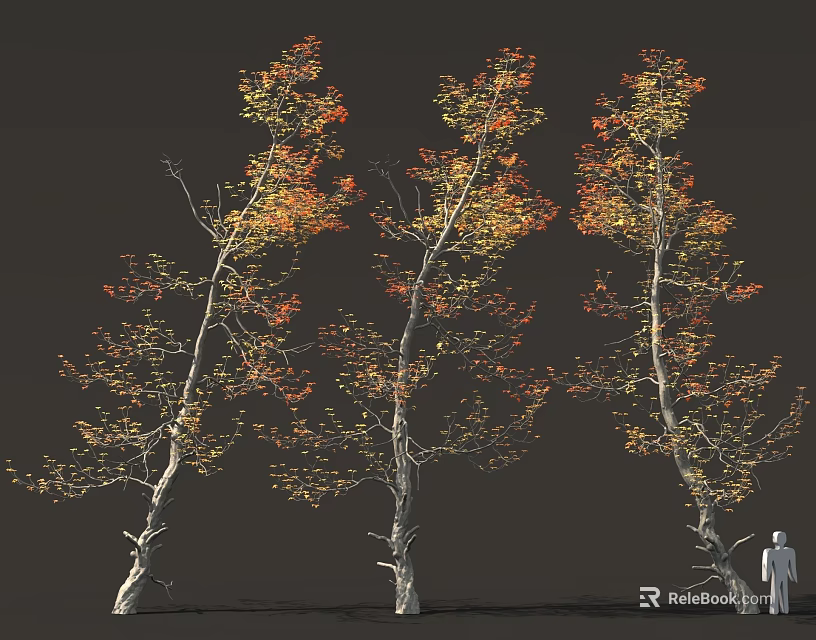 Three Tall Autumn Trees With Yellow Red Foliage And Human Figure 3d model 