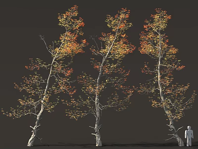 Three Tall Autumn Trees With Yellow Red Foliage And Human Figure 3d model