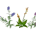 Colorful Blue Orange Pink Flowers And Green Leaves Fresh Plant Arrangement On Gray Background