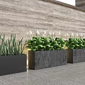 Green Plants With White Flowers In Modern Rectangular Planters Against Wooden Wall 3d model