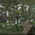 Tranquil Garden Pond Landscape With Water Lilies Lily Pads Rocks And Trees