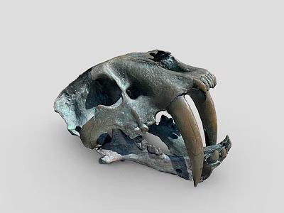 Modern Skull 3d model Modern Skull 3d model