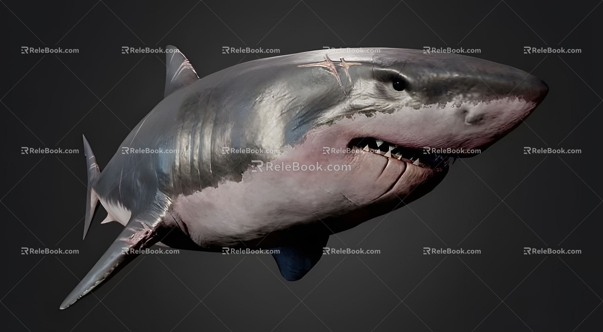 modern great white shark modern realistic shark fish animal great white shark 3d model