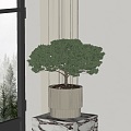 modern potted plant 3d model