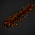 Realistic 3D Rendered Centipede With Brown Body Red Segments And Many Legs